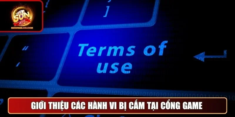 Giới thiệu các hành vi bị cấm tại cổng game